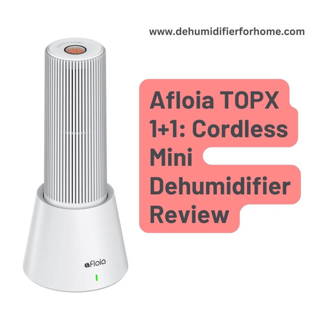 Afloia TOPX 1+1 Cordless Mini Dehumidifier Review