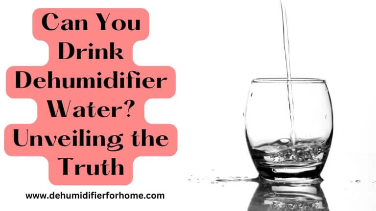 Can You Drink Dehumidifier Water