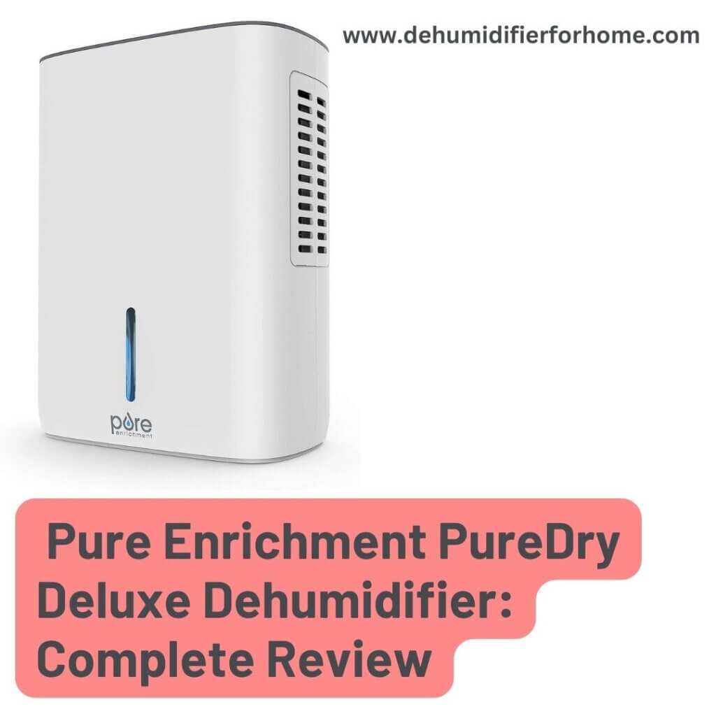  Pure Enrichment PureDry Deluxe Dehumidifier Complete Review