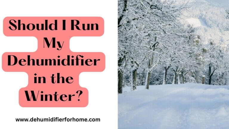 Run My Dehumidifier in the Winter