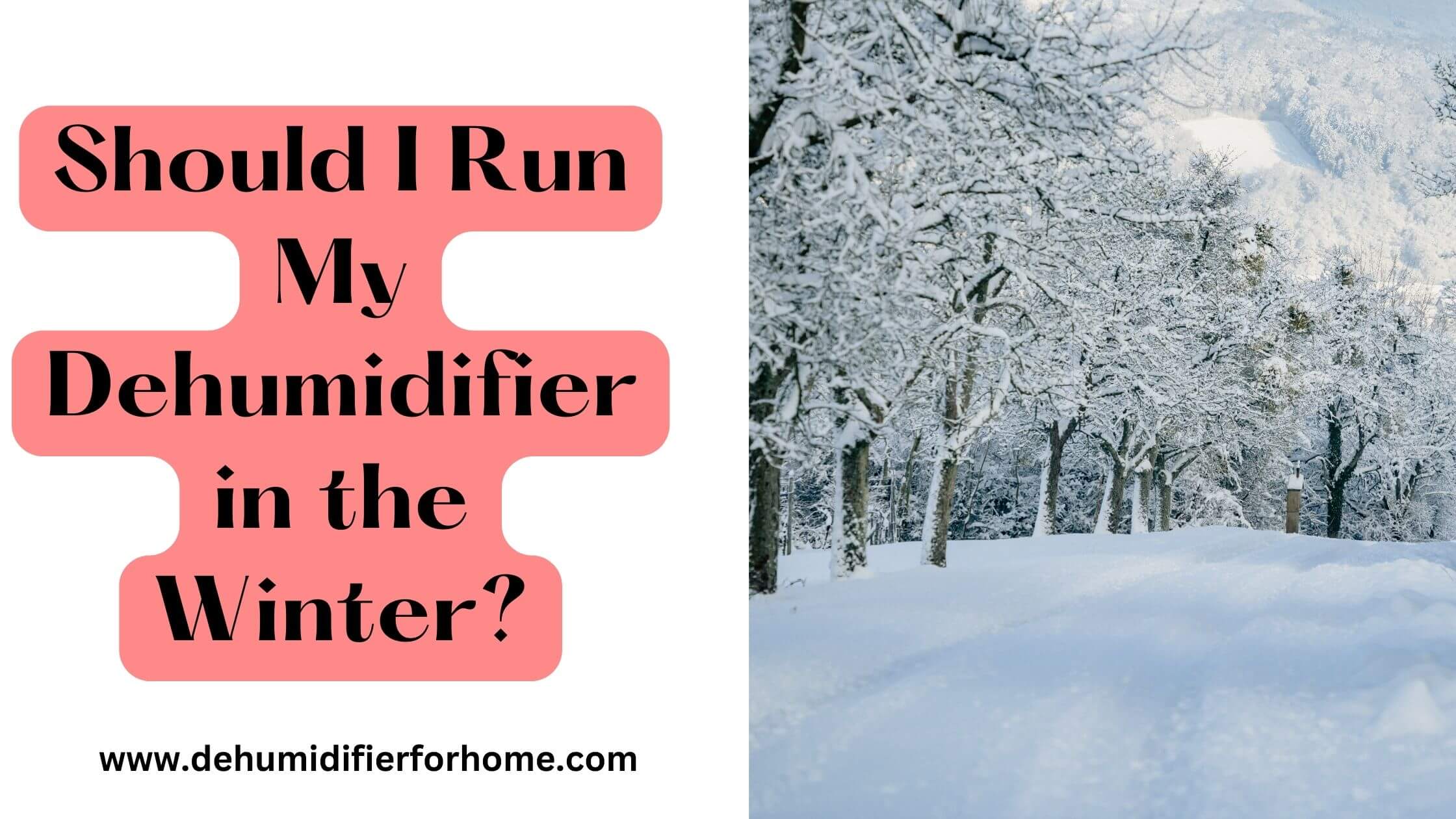 Should I Run My Dehumidifier in the Winter?