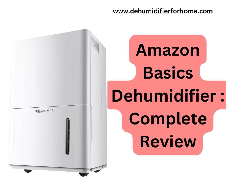 Amazon Basics Dehumidifier  Complete Review