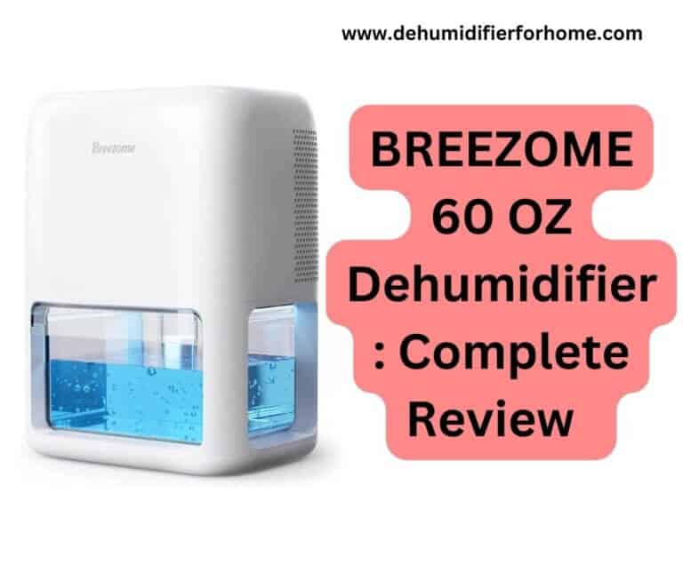 BREEZOME 60 OZ Dehumidifier: Complete Review