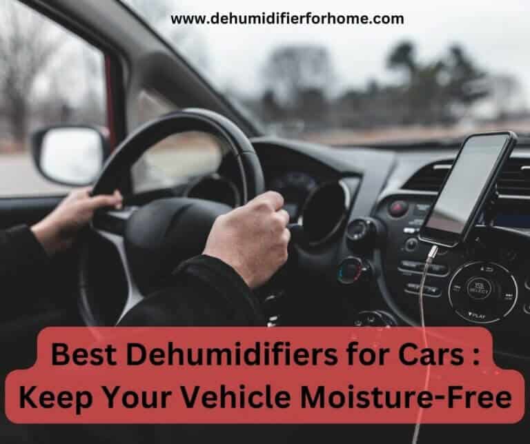 Best Dehumidifiers for Cars - Keep Your Vehicle Moisture-Free