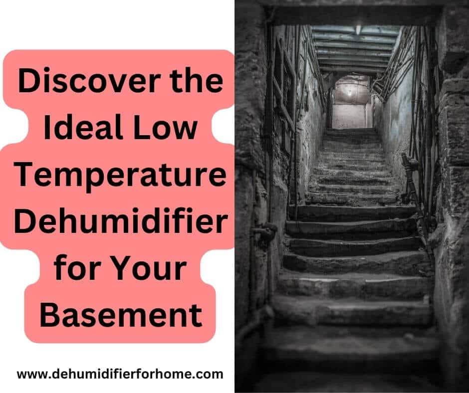 Discover the Ideal Low Temperature Dehumidifier for Your Basement