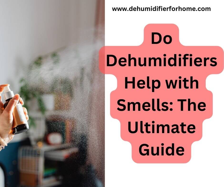 Do Dehumidifiers Help with Smells The Ultimate Guide