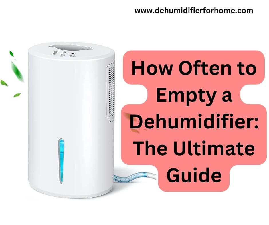 How Often to Empty a Dehumidifier The Ultimate Guide