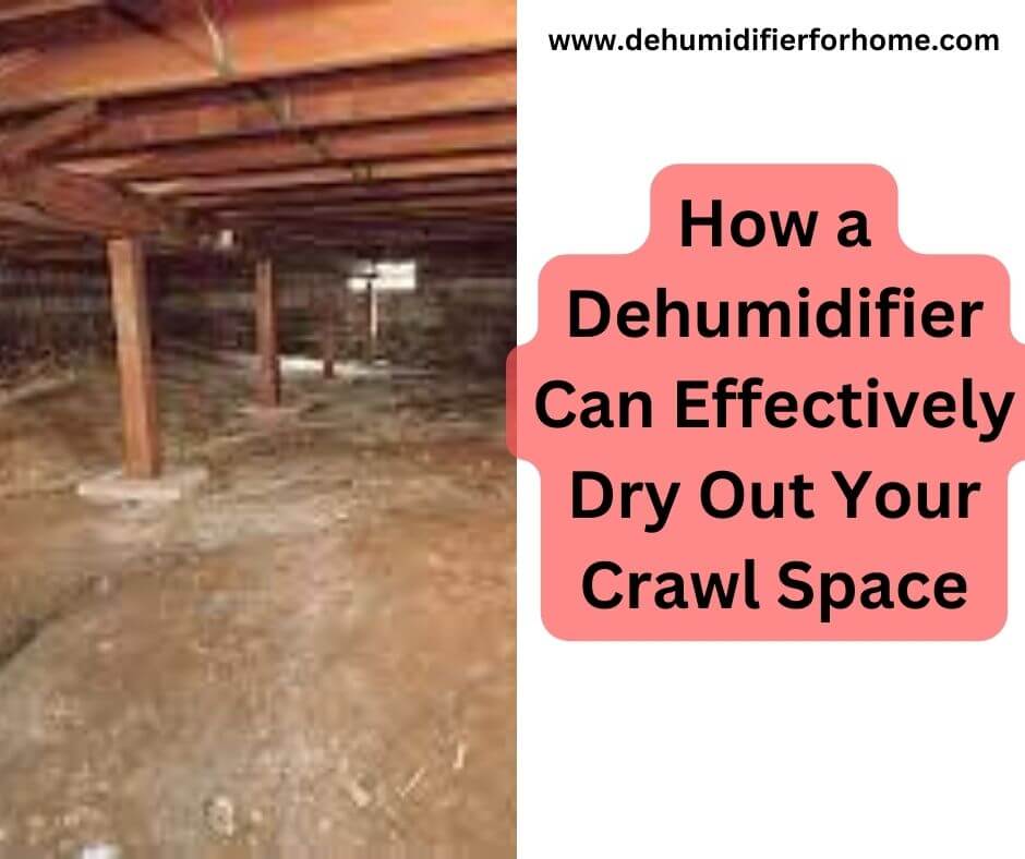 How a Dehumidifier Can Effectively Dry Out Your Crawl Space