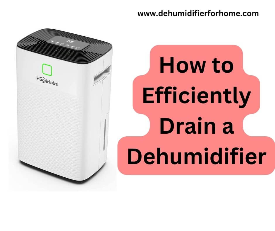 How to Efficiently Drain a Dehumidifier