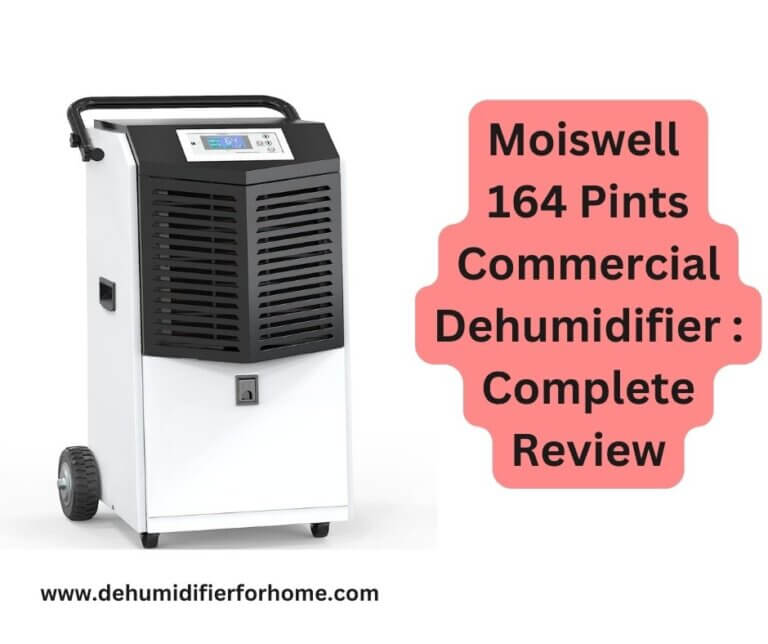 Moiswell 164 Pints Commercial Dehumidifier Complete Review