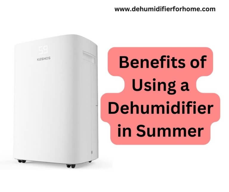 benefits of using a dehumidifier in summer