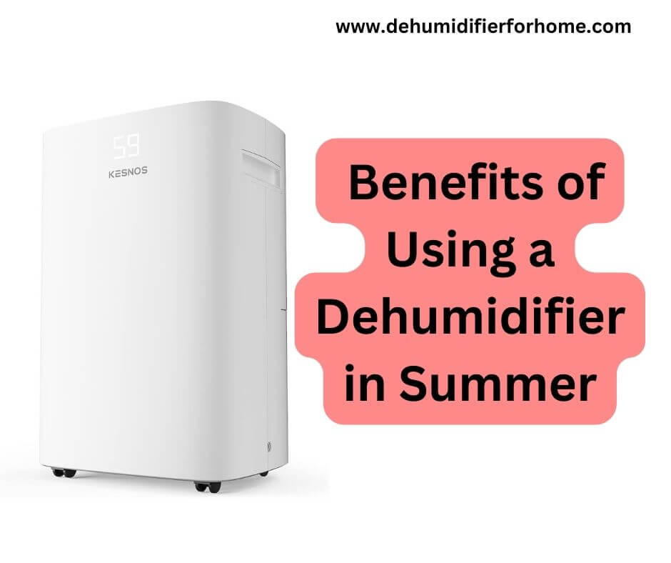 Benefits of Using a Dehumidifier in Summer