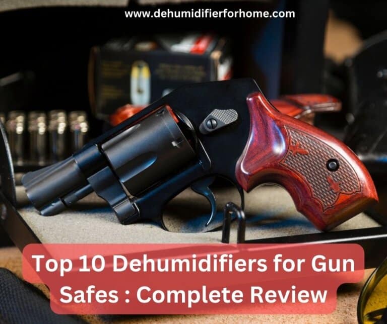 Top 10 Dehumidifiers for Gun Safes Complete Review