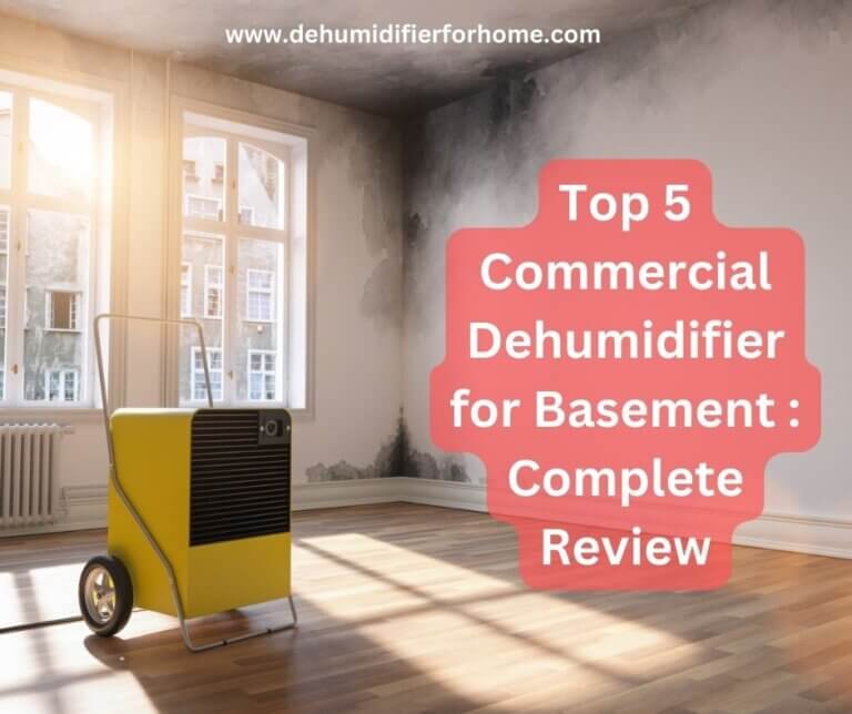 commercial dehumidifier for basement