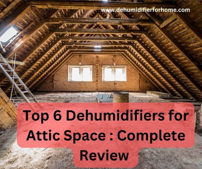 Top 6 Dehumidifiers for Attic Space Complete Review