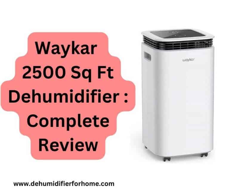 Waykar 2500 Sq Ft Dehumidifier : Complete Review