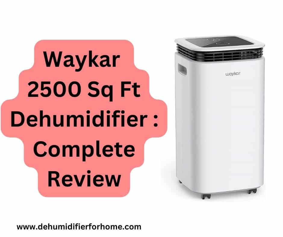 Waykar 2500 Sq Ft Dehumidifier  Complete Review