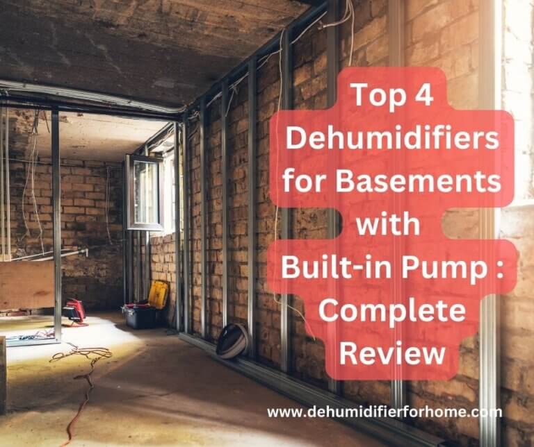 dehumidifiers for bsements with built- in pump