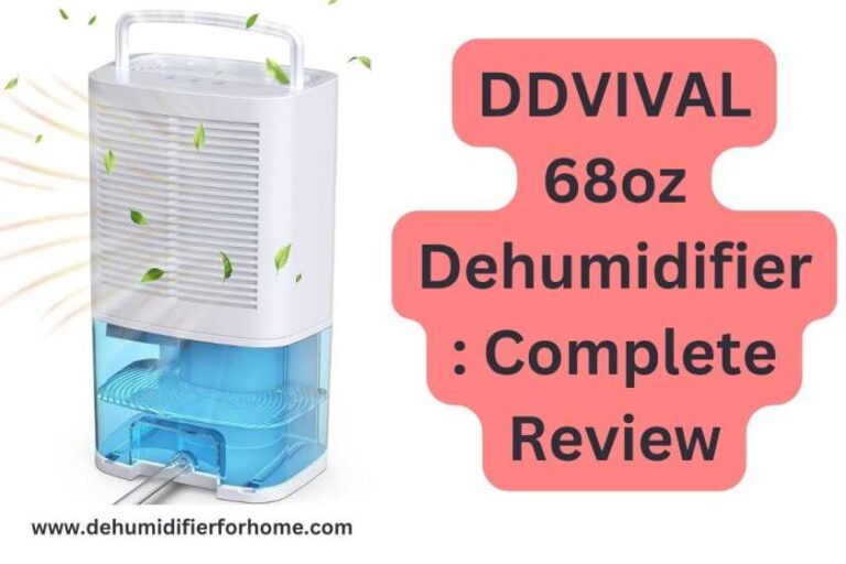 DDVIVAL 68oz Dehumidifier : Complete Review