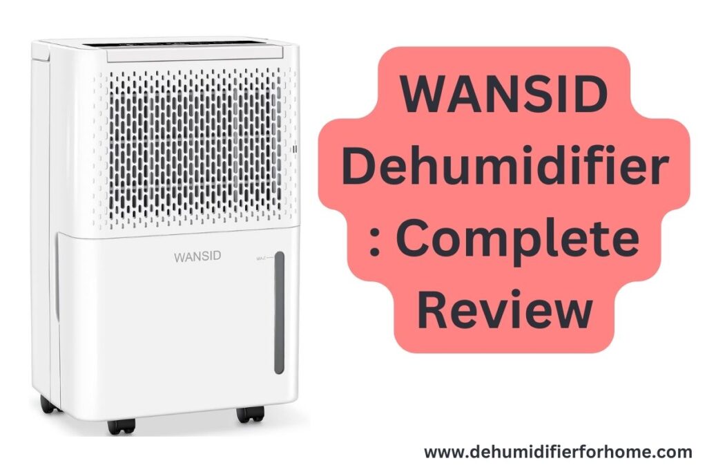 WANSID Dehumidifier  Complete Review