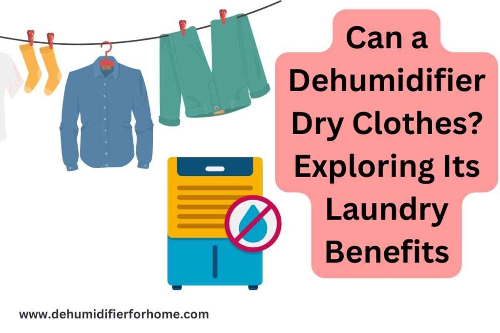 Dehumidifier Dry Clothes 