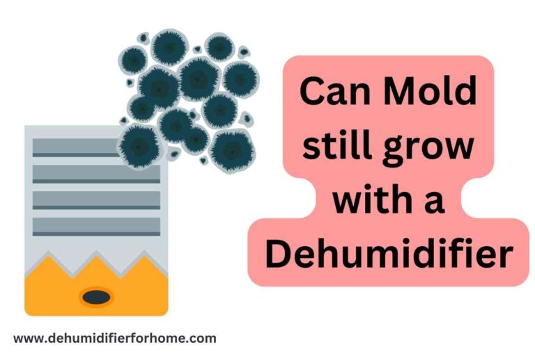 Can mold still grow with a dehumidifier