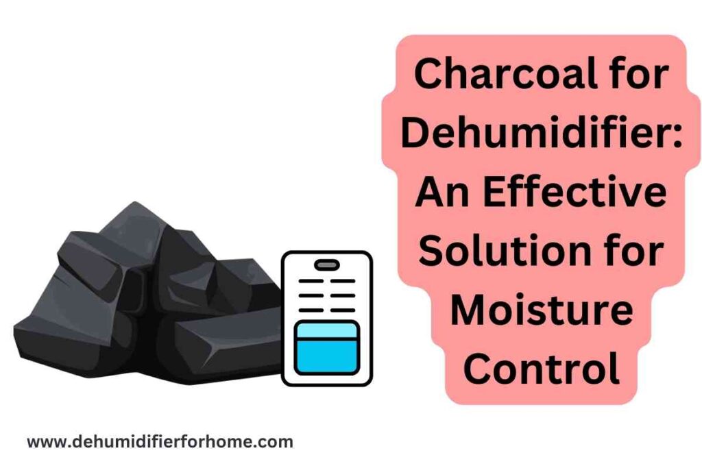 Charcoal for Dehumidifier An Effective Solution for Moisture Control