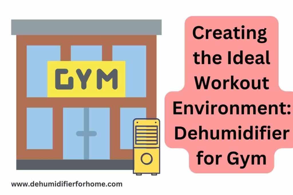 dehumidifier for gym