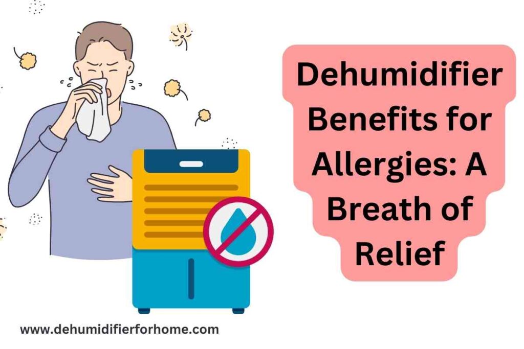 Dehumidifier Benefits for Allergies A Breath of Relief