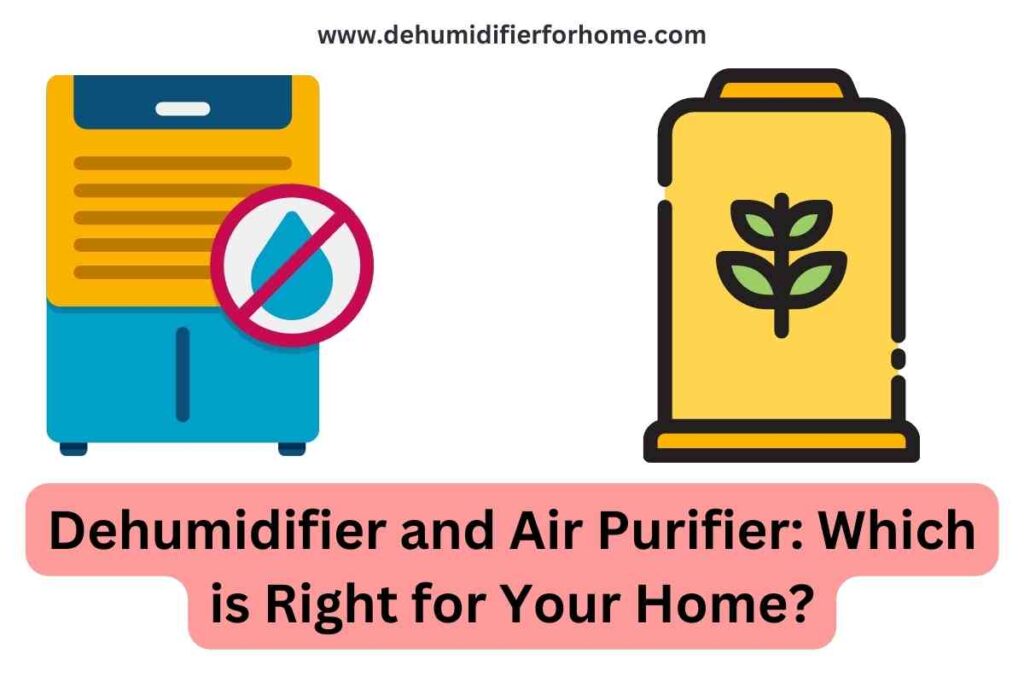 Dehumidifier and Air Purifier Which is Right for Your Home