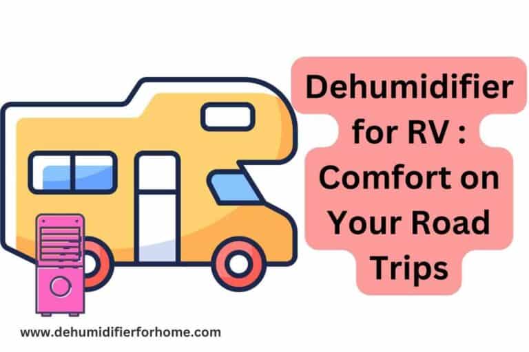 Dehumidifier for RV