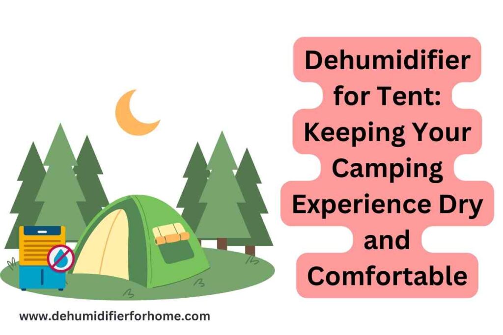 Dehumidifier for Tent Keeping Your Camping Experience Dry and Comfortable