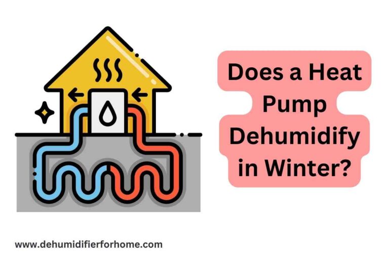 Does a Heat Pump Dehumidify in Winter