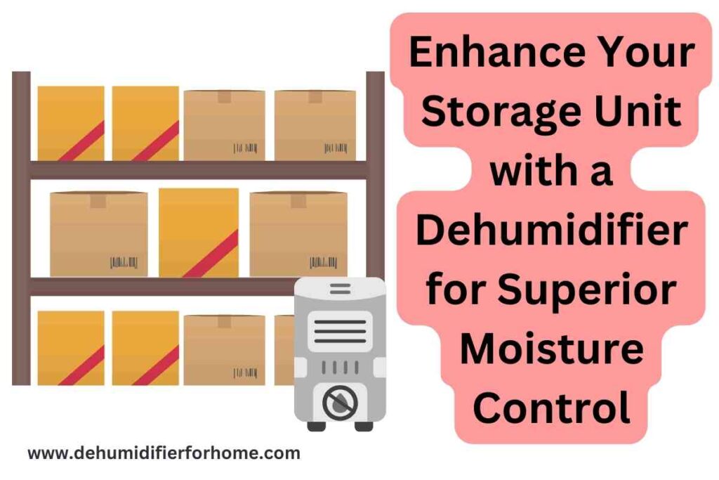 Enhance Your Storage Unit with a Dehumidifier for Superior Moisture Control