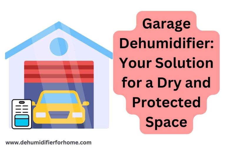 garage dehumidifier