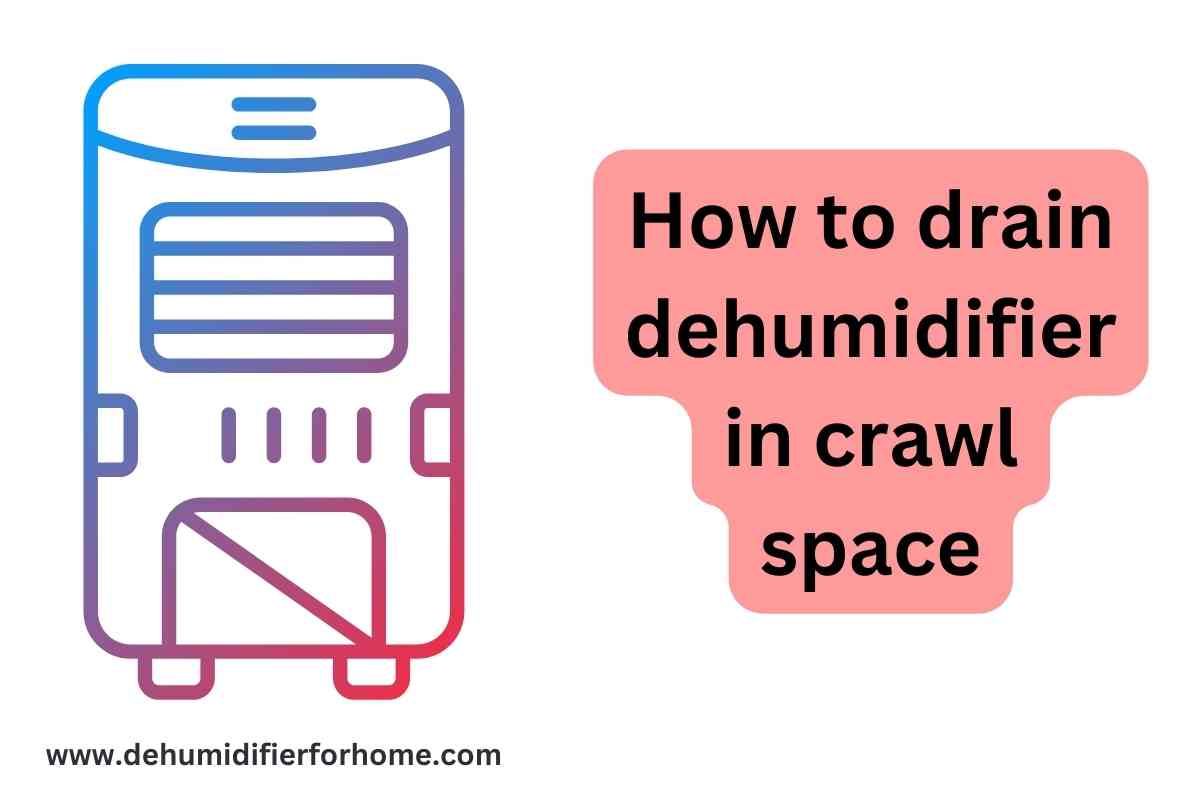 How to drain dehumidifier in crawl space Dehumidifier for Home