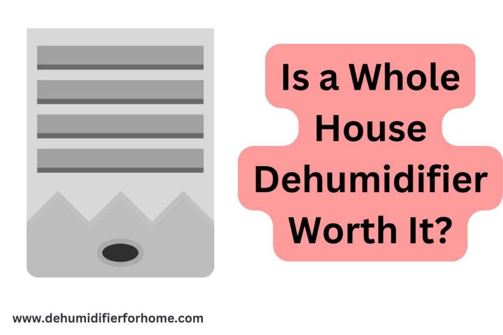 Is a Whole House Dehumidifier Worth It