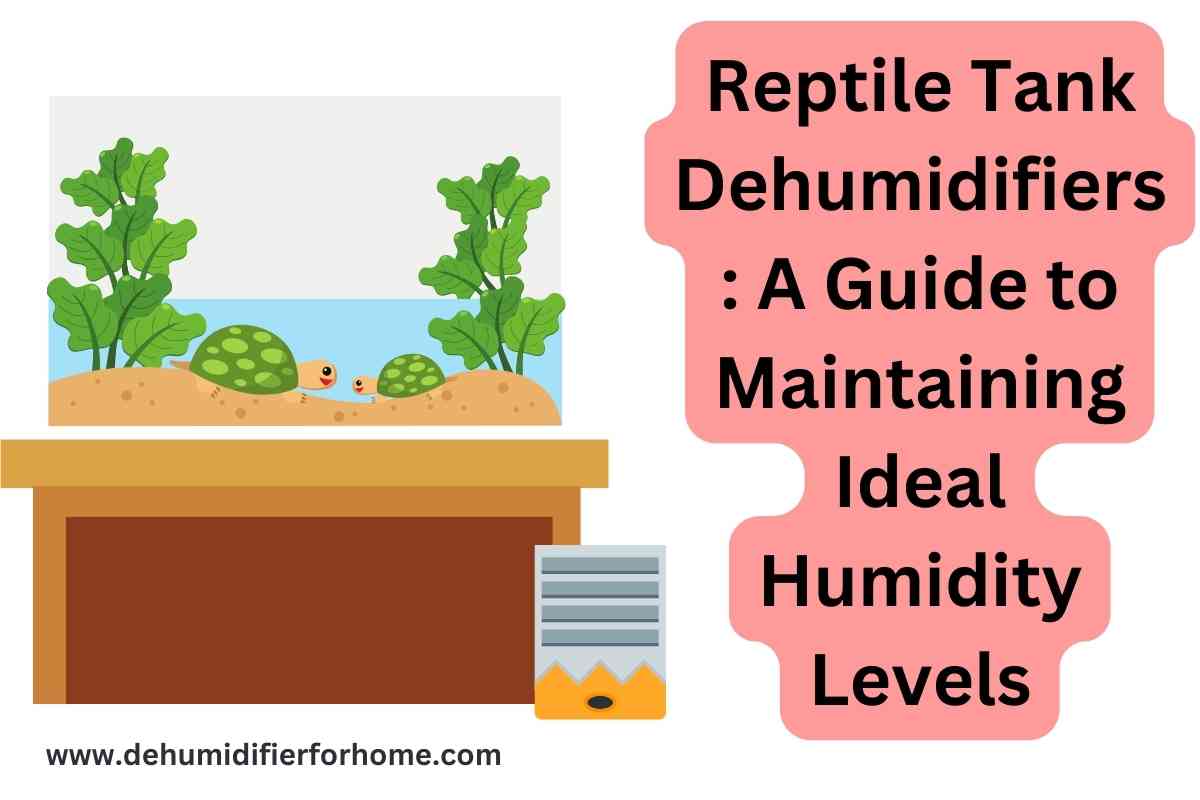 Reptile Tank Dehumidifiers A Guide to Maintaining Ideal Humidity Levels