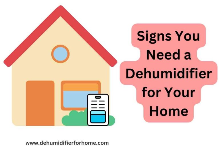 Signs You Need a Dehumidifier for Your Home