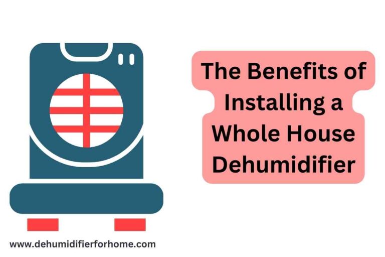 The Benefits of Installing a Whole House Dehumidifier