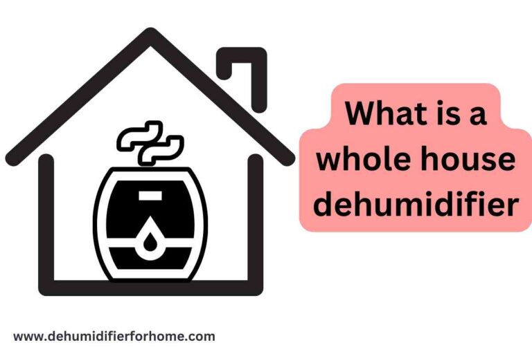 what is a whole house dehumidifier