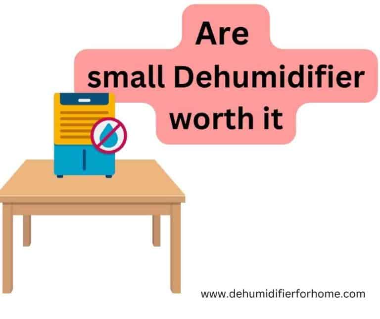 Are small dehumidifier worth it