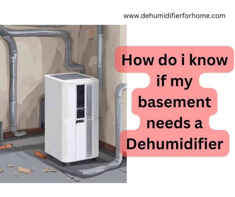 How do i know if my basement needs a Dehumidifier