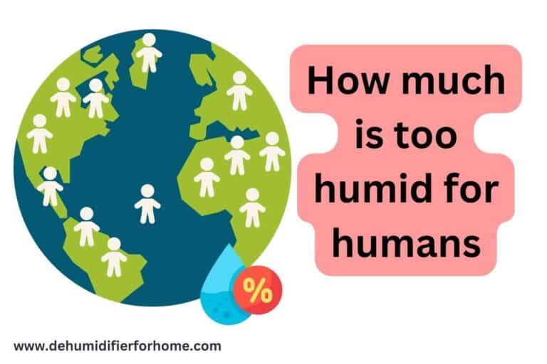 humidity for humans