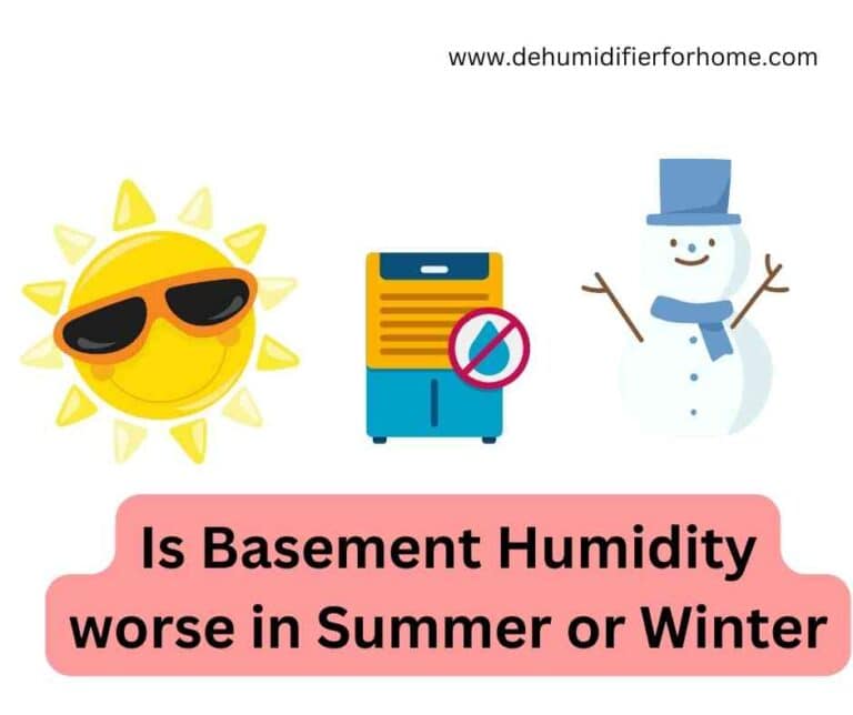 Is Basement Humidity worse in Summer or Winter