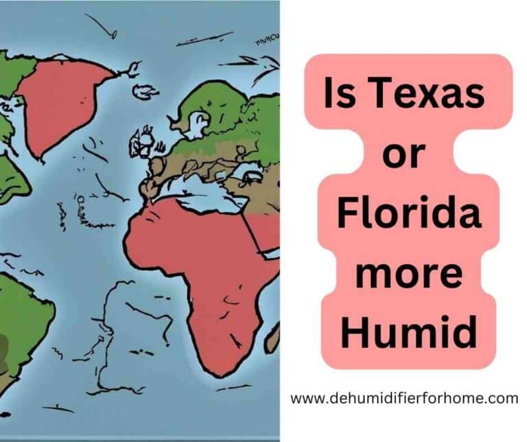 Is Texas or Florida more humid