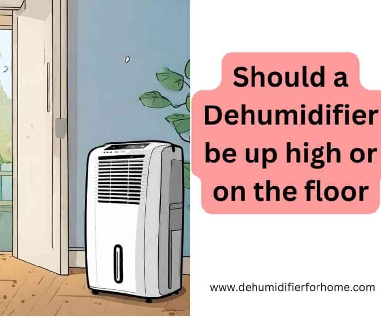Should a Dehumidifier be up high or on the floor