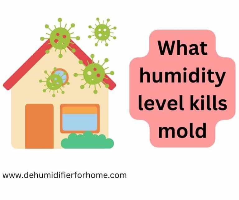 What humidity level kills mold