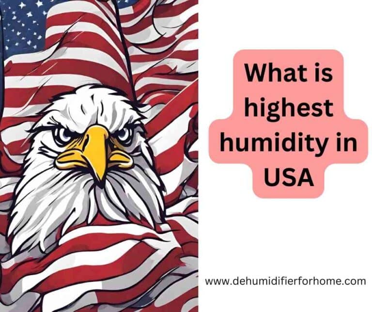 What is highest humidity in USA