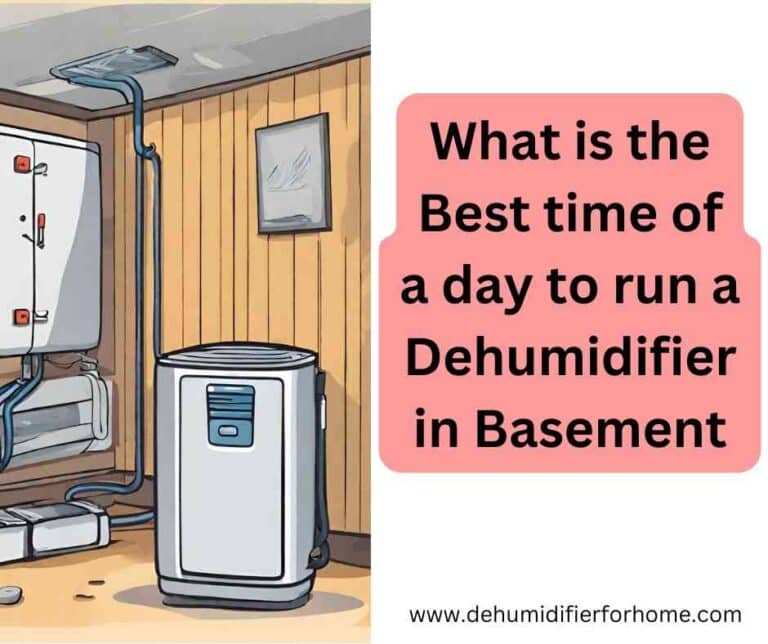 What is the best time of a day to run a dehumidifier in basement